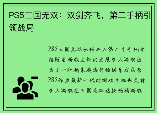 PS5三国无双：双剑齐飞，第二手柄引领战局